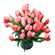 красные тюльпаны. Перу